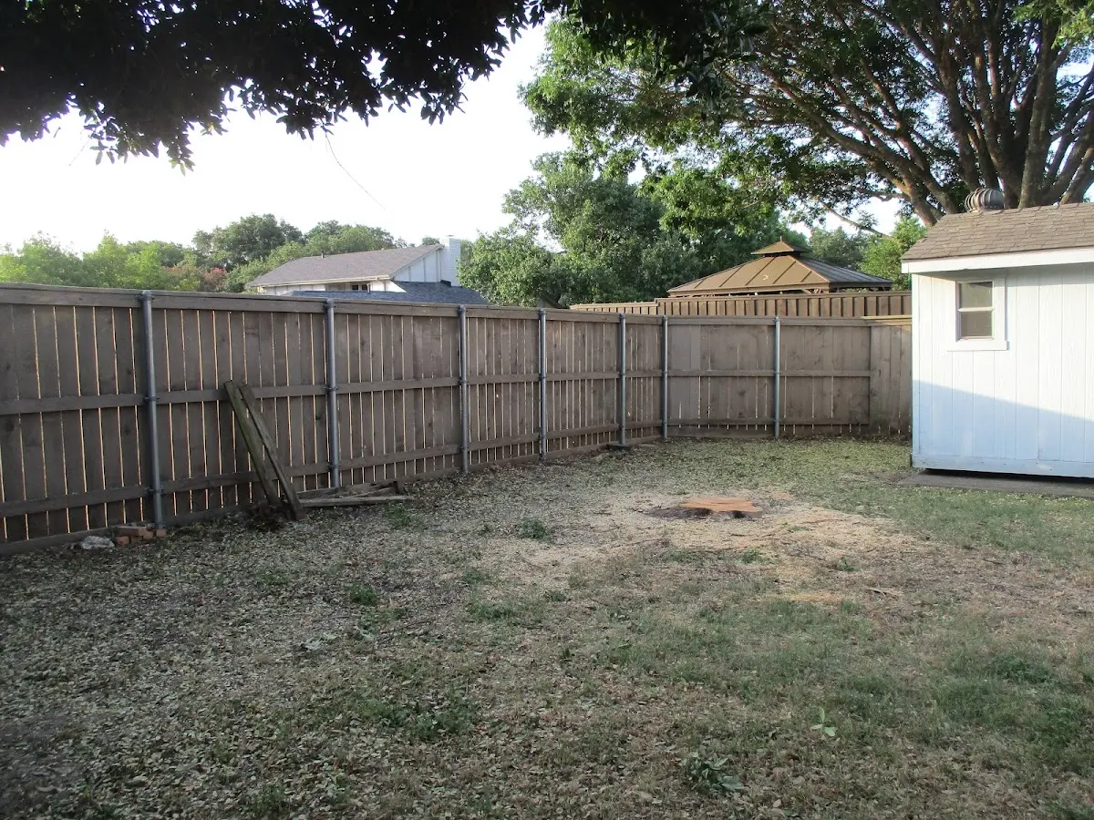 Cleared yard after professional tree removal in Forest City
